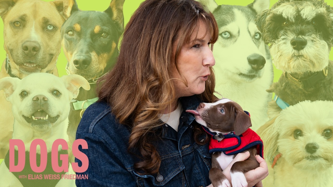 SNL Legend Ana Gasteyer Falls in Love With NYC Dogs (Plus Her Funniest Dog Stories)