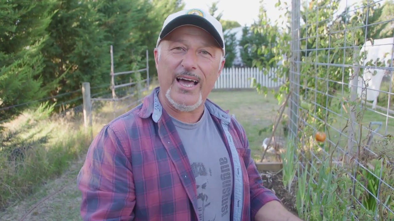 How to prepare a garden bed for autumn