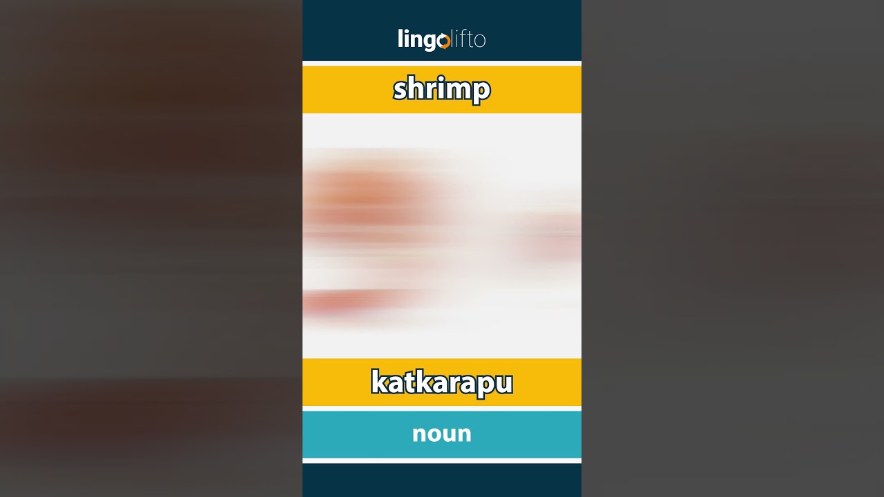 🇬🇧🇫🇮 shrimp - katkarapu : learn English : opetellaan englantia : vocabulary builder