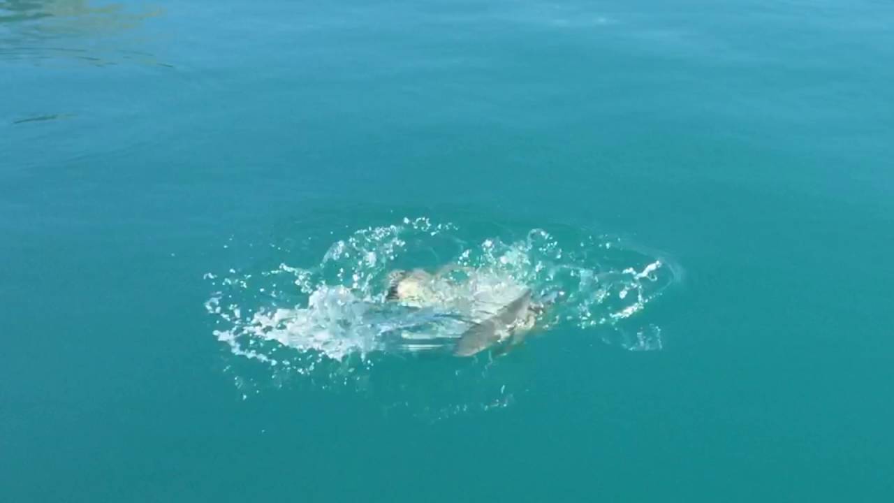 Queenstown Fishing - 3 Hour Winter Fishing Trip