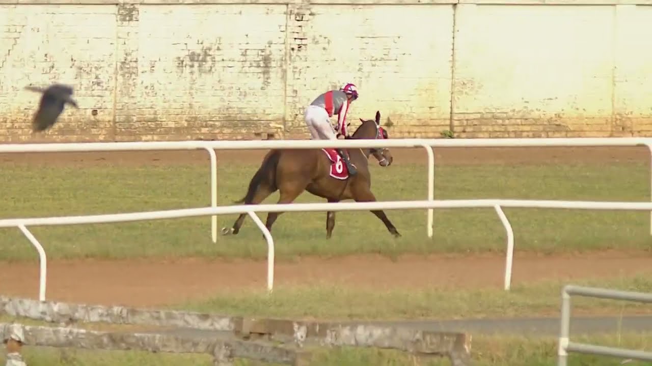 TESORINO wins The Guindy Grand Prix (Gr.3)