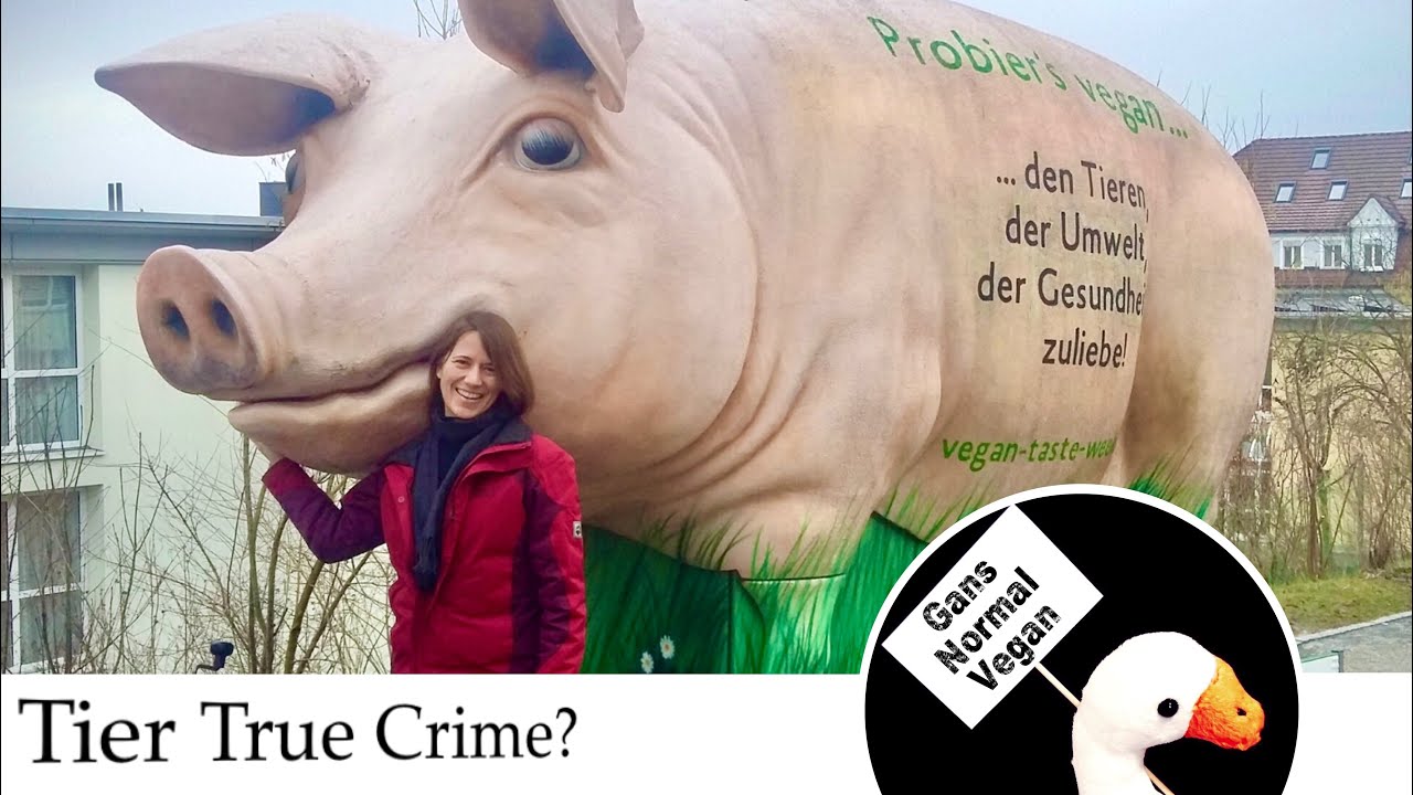 Folge 247 - Vanessa - Themen u.a.: Tier Crime Podcast, Stiftung für das Tier im Recht, Tierschutz