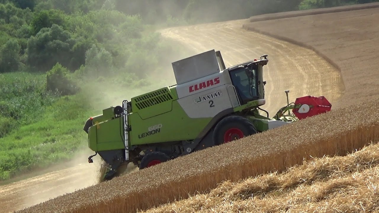 Gabona betakarítás CLAAS flottával a Duna mentén