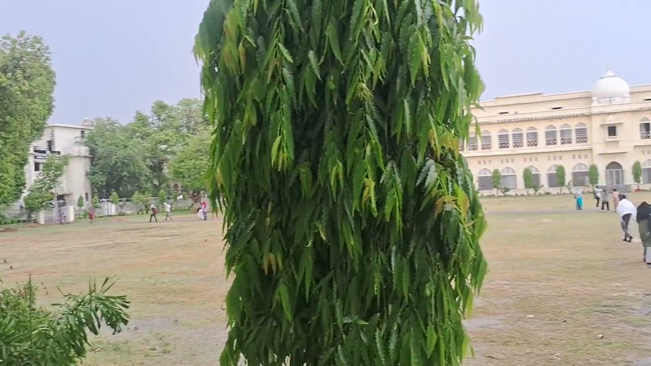 Lucknow University old campus 