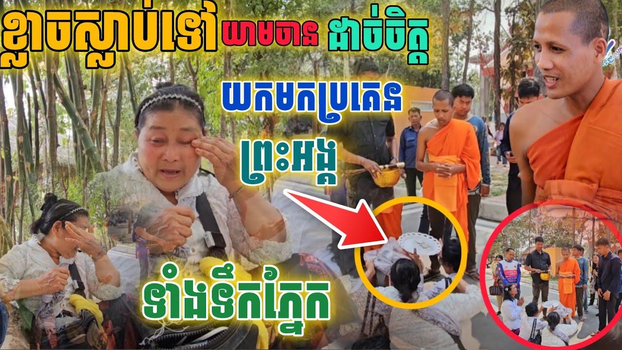 អ្នក​មីងខ្លាចស្លា|ប់ទៅយាមចាន ដាច់ចិត្តយកមកប្រគេនព្រះអង្គទាំងទឹកភ្នែក[នាគរាជ]​