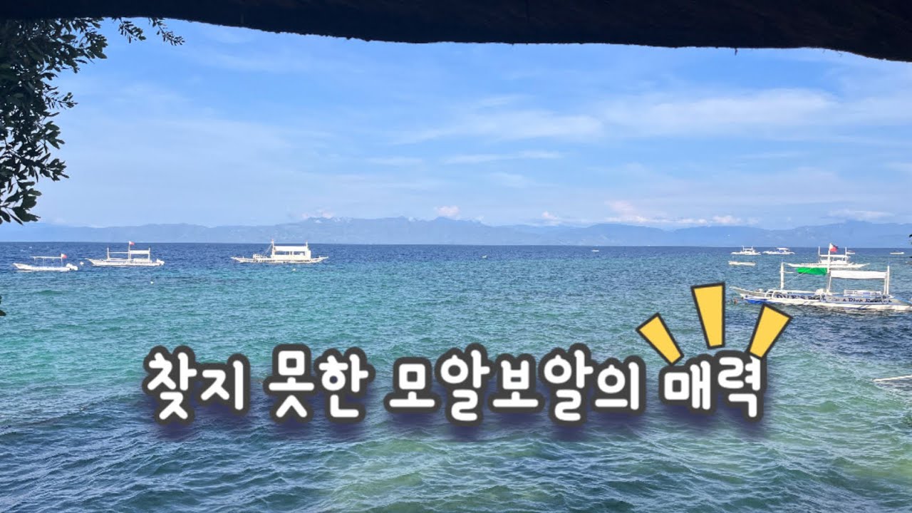 🇵🇭모알보알2박3일 | 쉽지않다필리핀 | 모알보알의매력뭔가요?