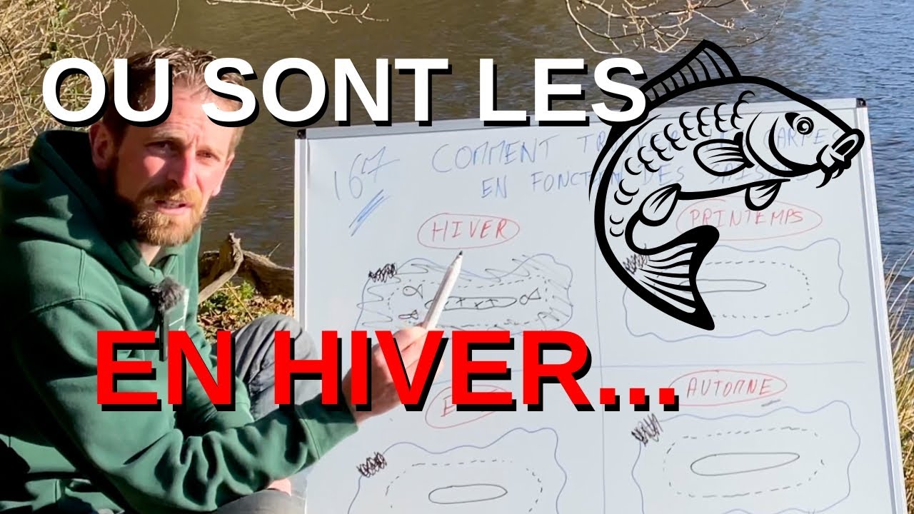 COMMENT trouver les carpes en HIVER ?