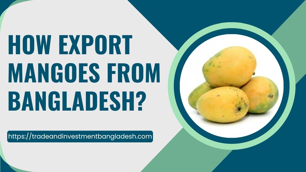 How export Mangoes from Bangladesh?