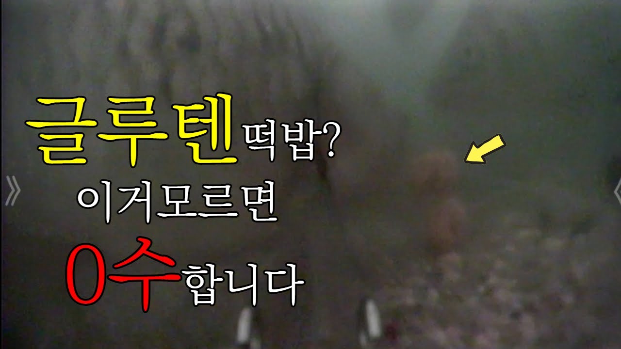 글루텐 떡밥 사용할 때 꼭 알아둬야 할 것 3가지