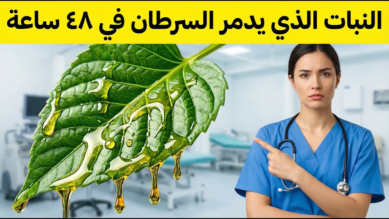 🔬 هل يمكن لجذر نبات شائع أن يدمر خلايا سرطانية في 48 ساعة؟ (دراسة علمية ثورية)