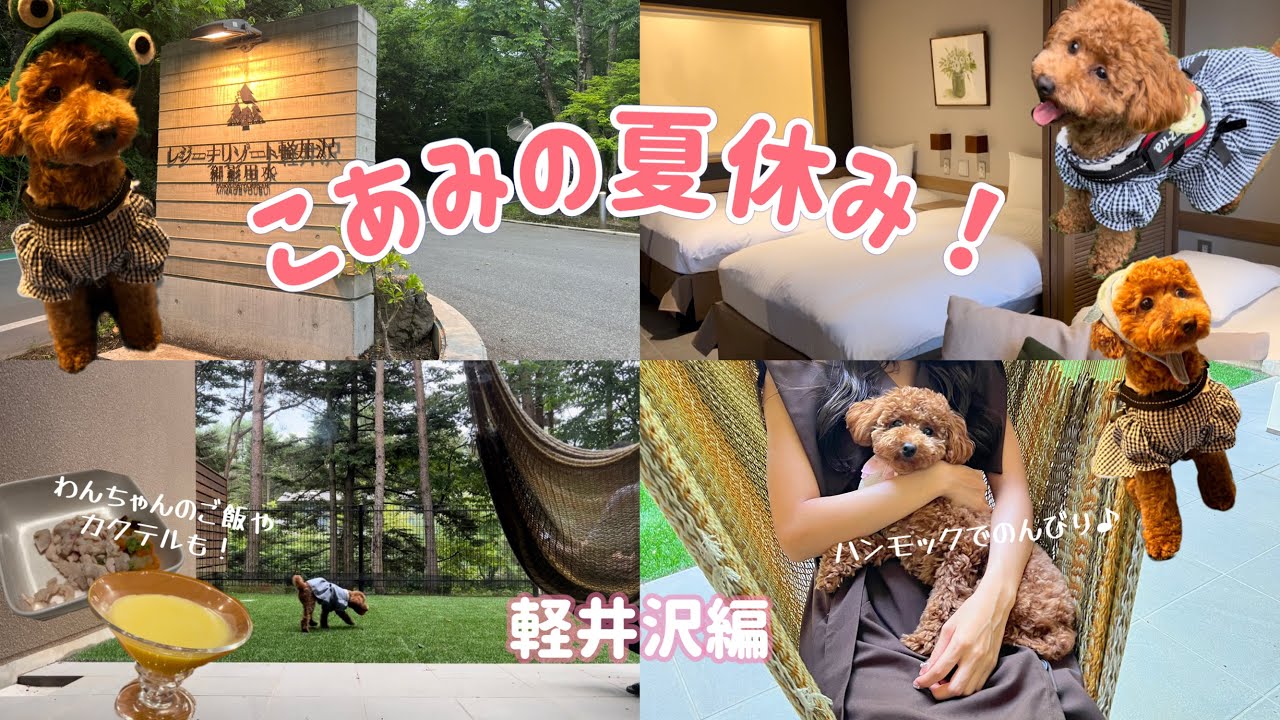 レジーナリゾート軽井沢御影用水に行って来たよ/食事中まさかの事態に😱/ルームツアーあり