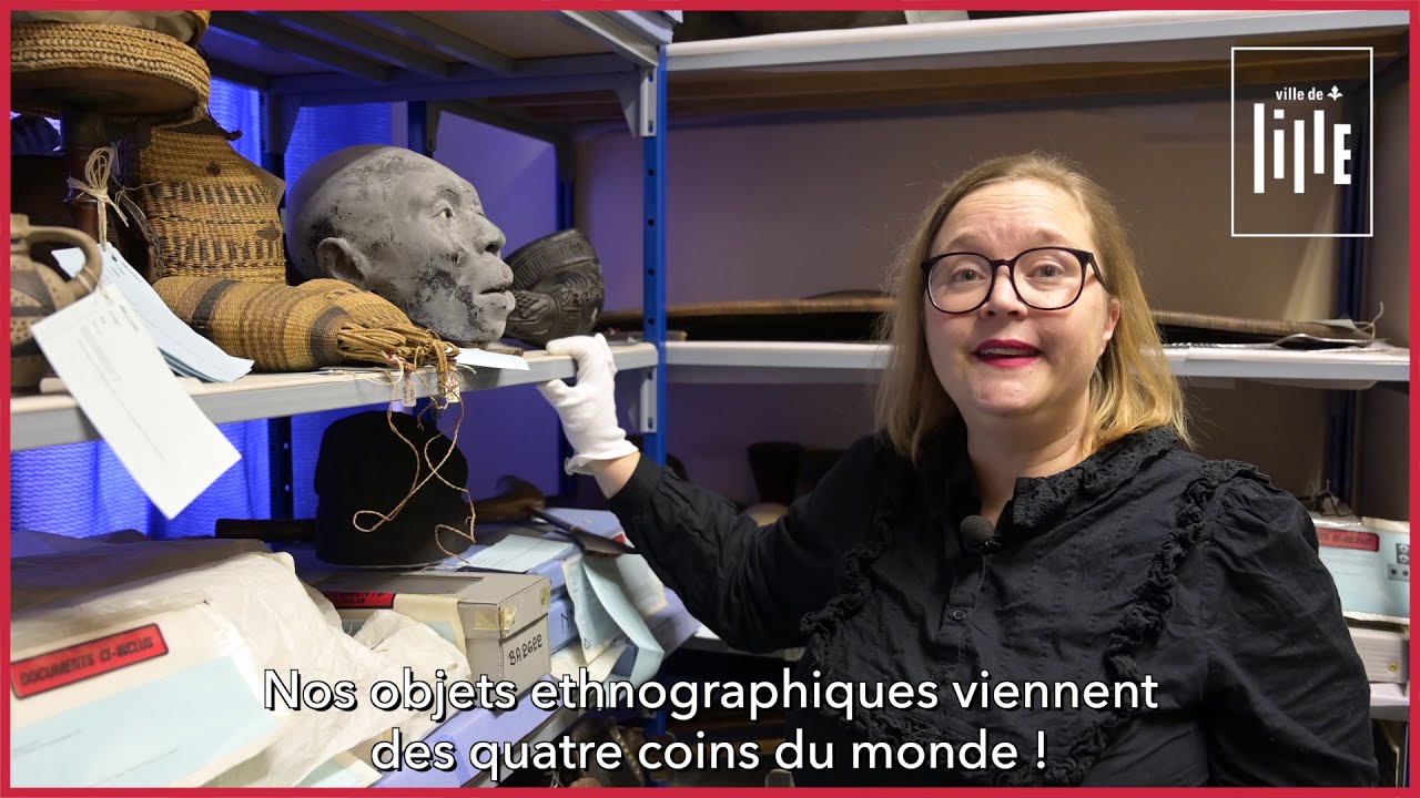 Dans les coulisses du musée d'Histoire naturelle de Lille