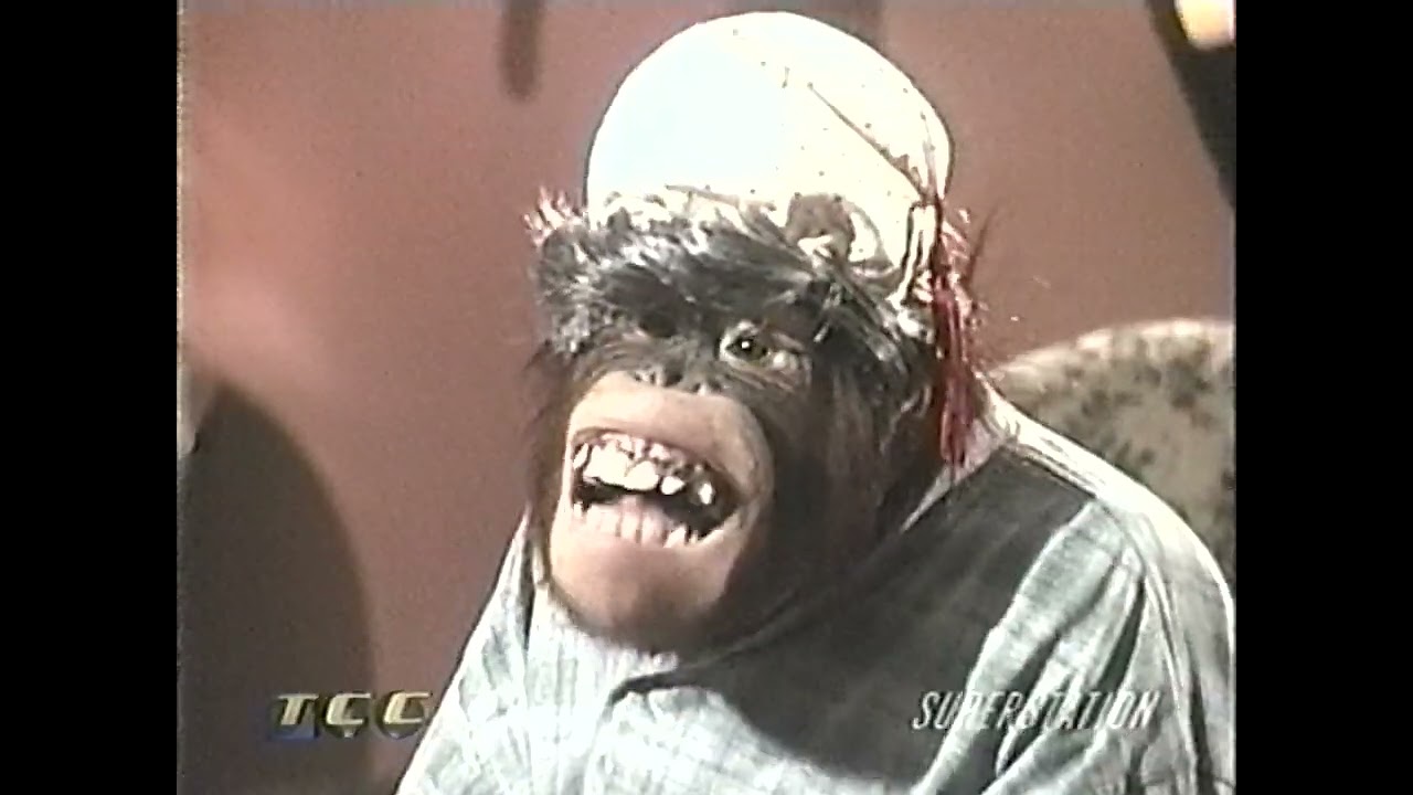 The Chimp Channel Episode 12 
