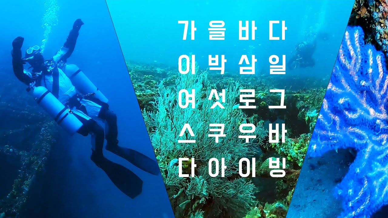 61 Log. 가을에 다시 찾은 대게로 유명한 영덕의 대진 스쿠버다이빙 리조트 2박3일 6로그  / 이수의 다이브로그