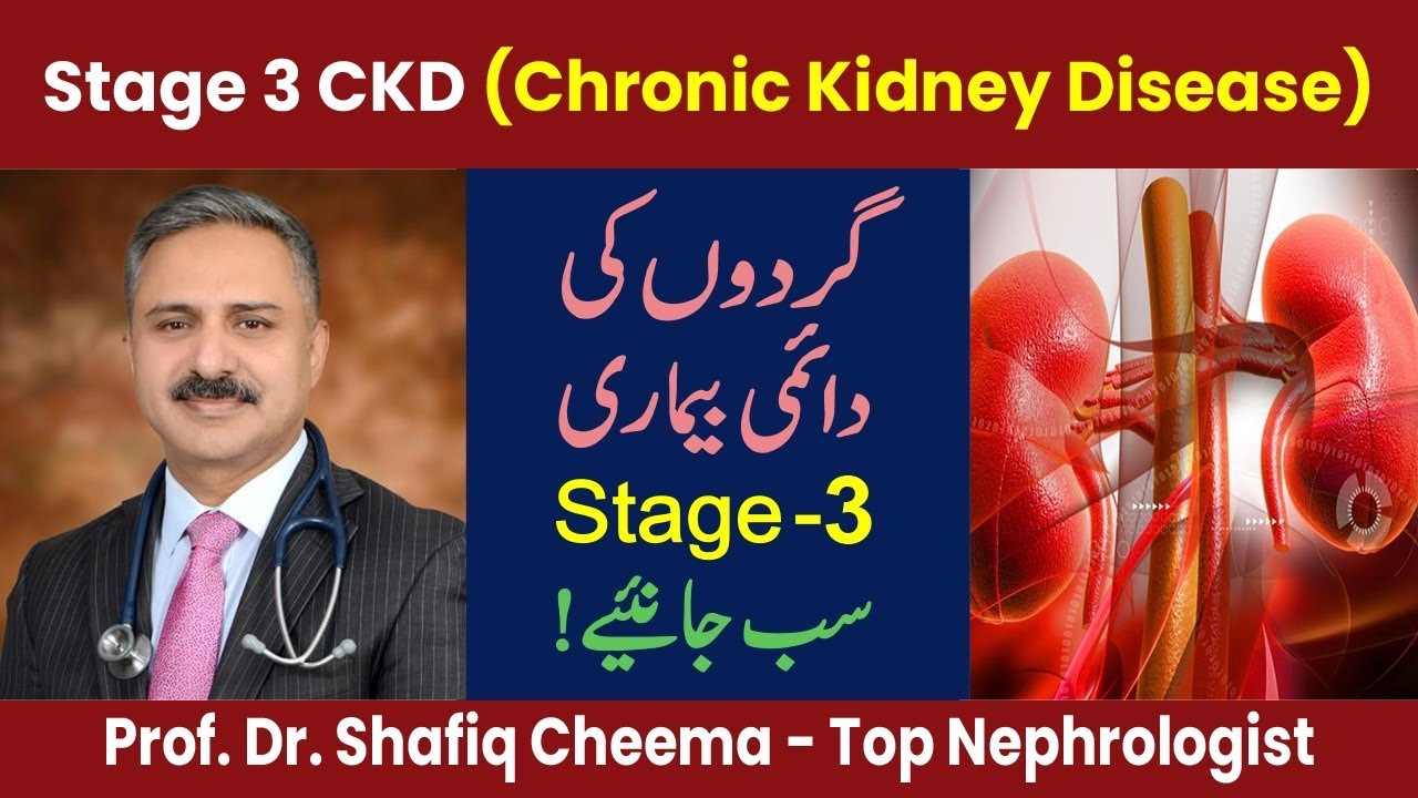 Chronic Kidney Disease (CKD) Stage 3 | Causes, Symptoms & Treatment | Professor Shafiq Cheema