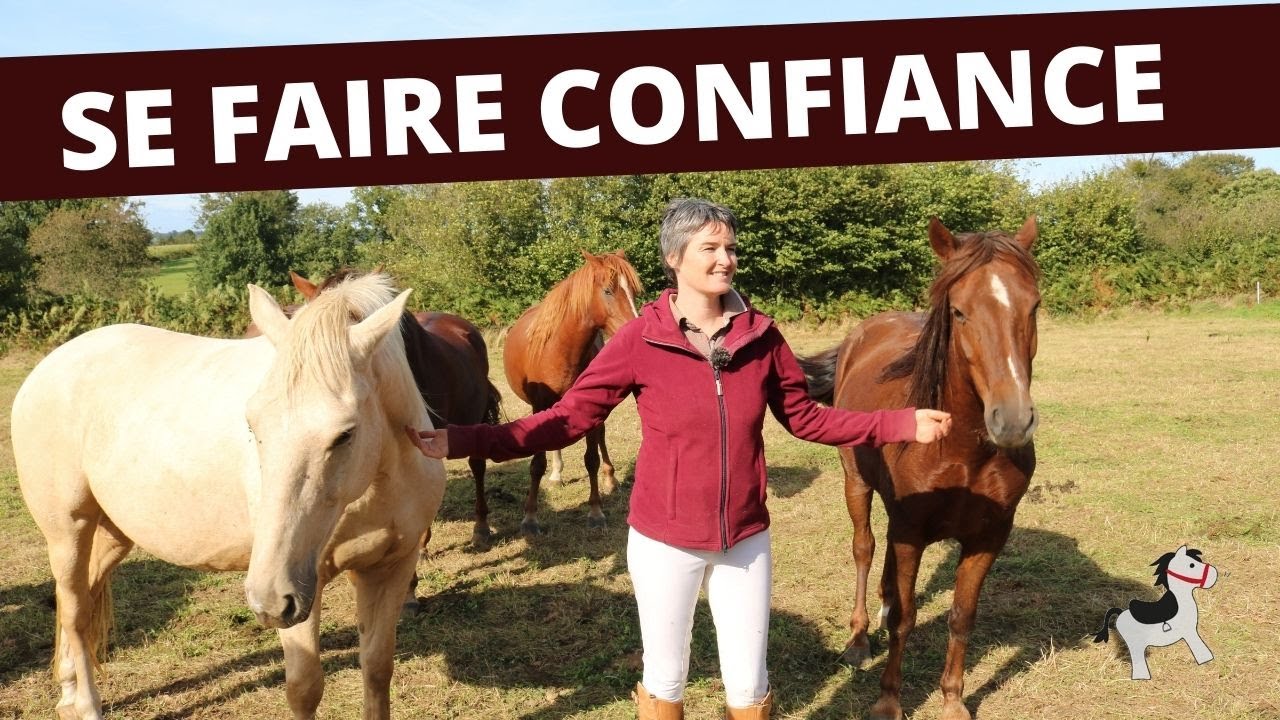 Comment gagner la confiance de son cheval ? Mes 7 règles d'OR