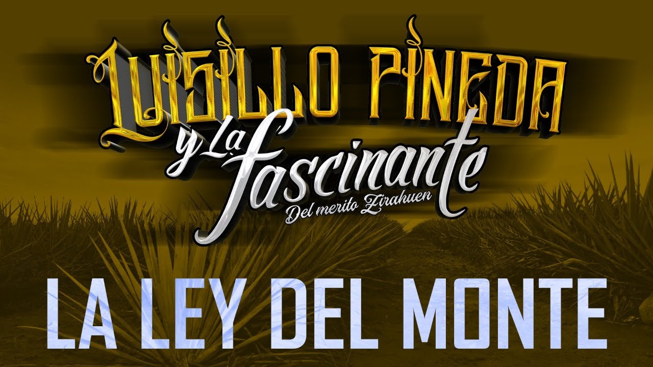 LA LEY DEL MONTE al estilo LUISILLO PINEDA Y LA FASCINANTE MIX [DISCO COMPLETO💥] MORENA MUSIC