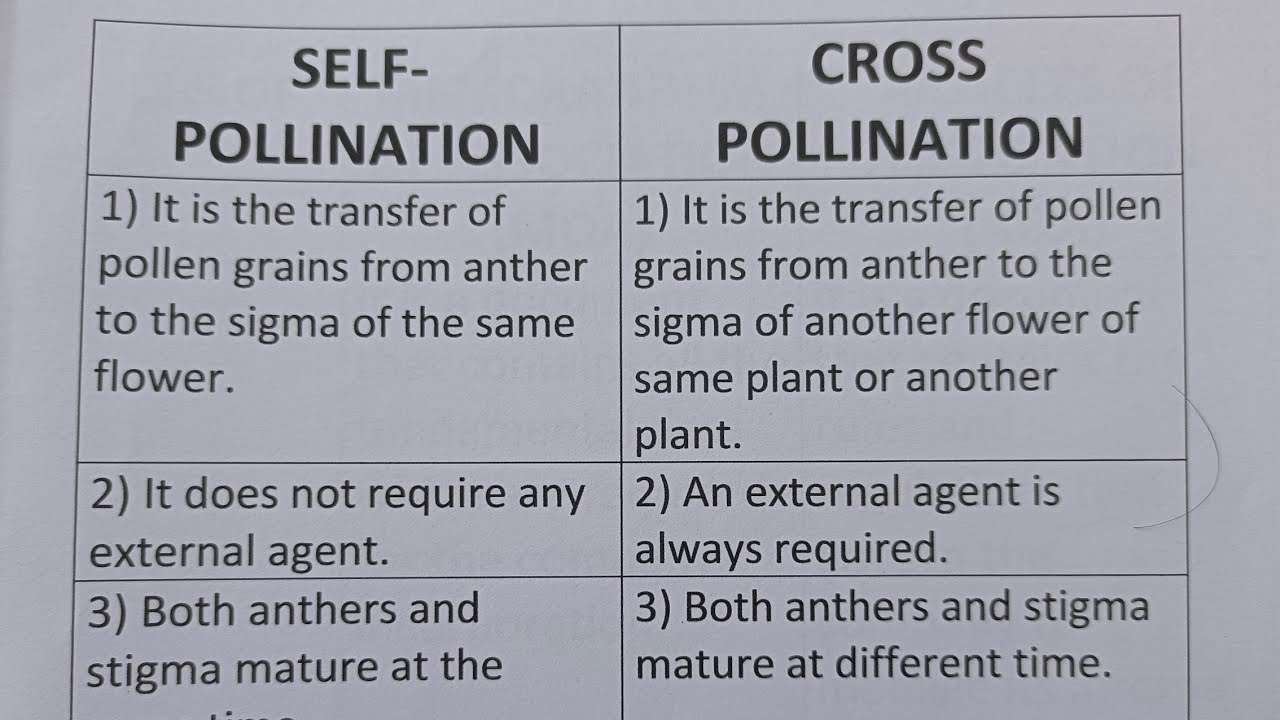 Difference Between Self Pollination And Cross Pollination?-Class Series