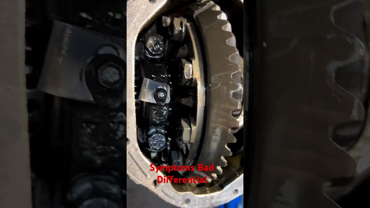 Symptoms of Bad differential 