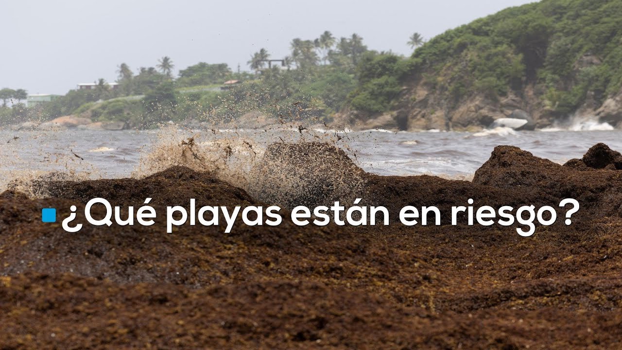 ¡Adiós, paraíso? La 