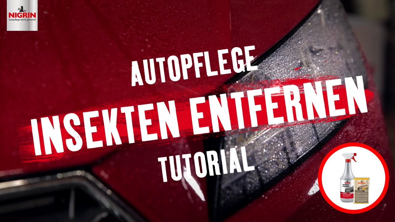 Autopflege Tutorial: Insekten vom Auto entfernen