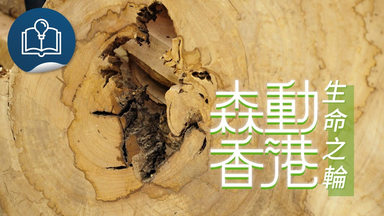 森動香港：生命之輪