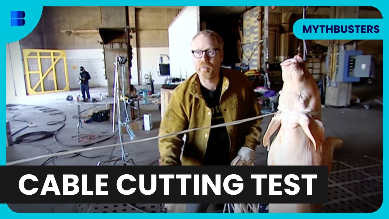 Can A Cable Cut You in Half? - MythBusters - Science Documentary