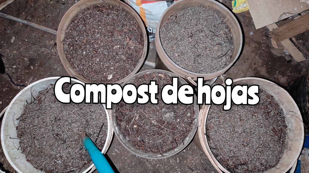 compost de hojas