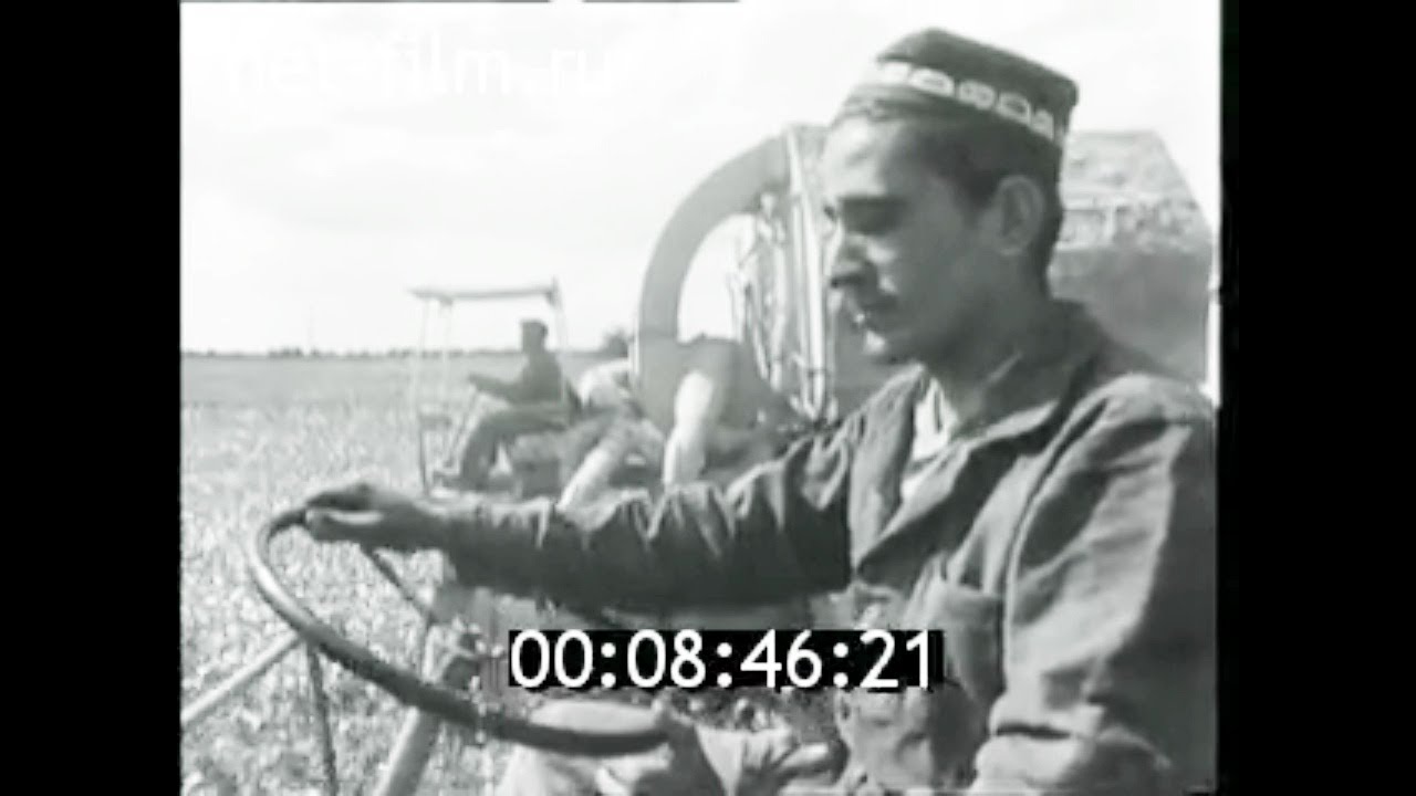 1970г. колхоз имени Энгельса Бухарский район Узбекистан