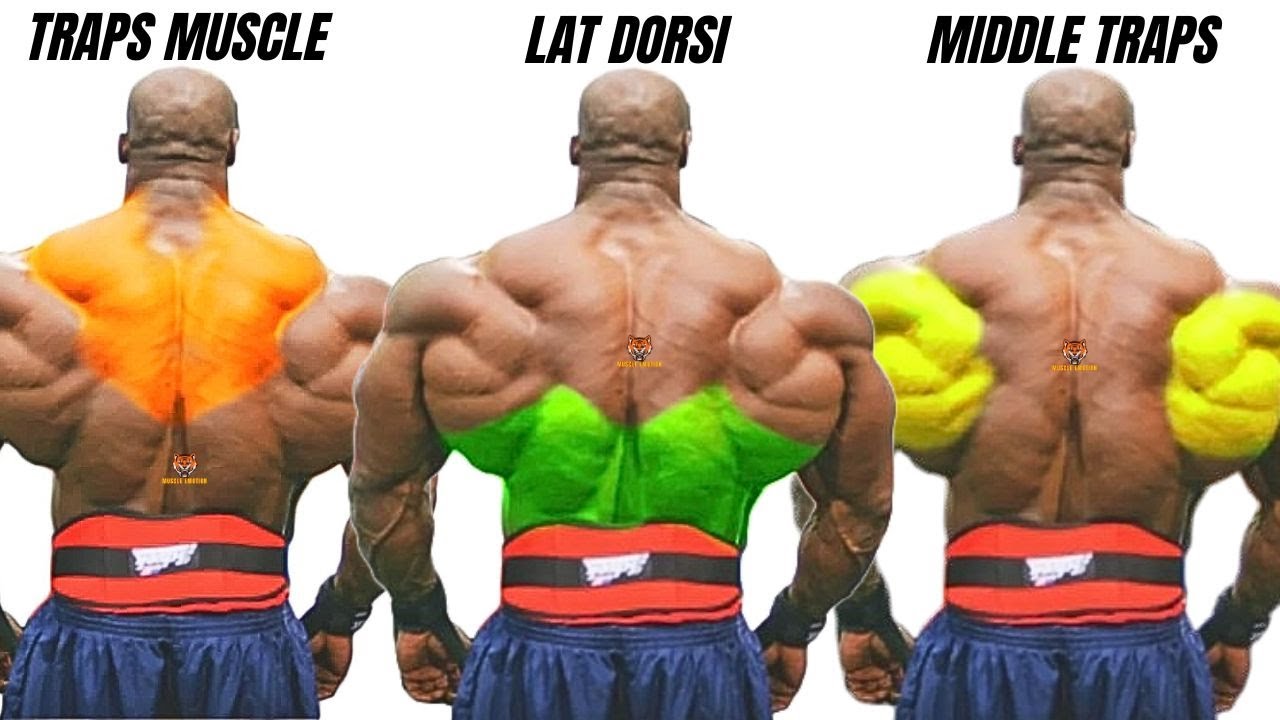 TOP 5 LAT MIDDLE BACK AND TRAPS WORKOUT AT GYM