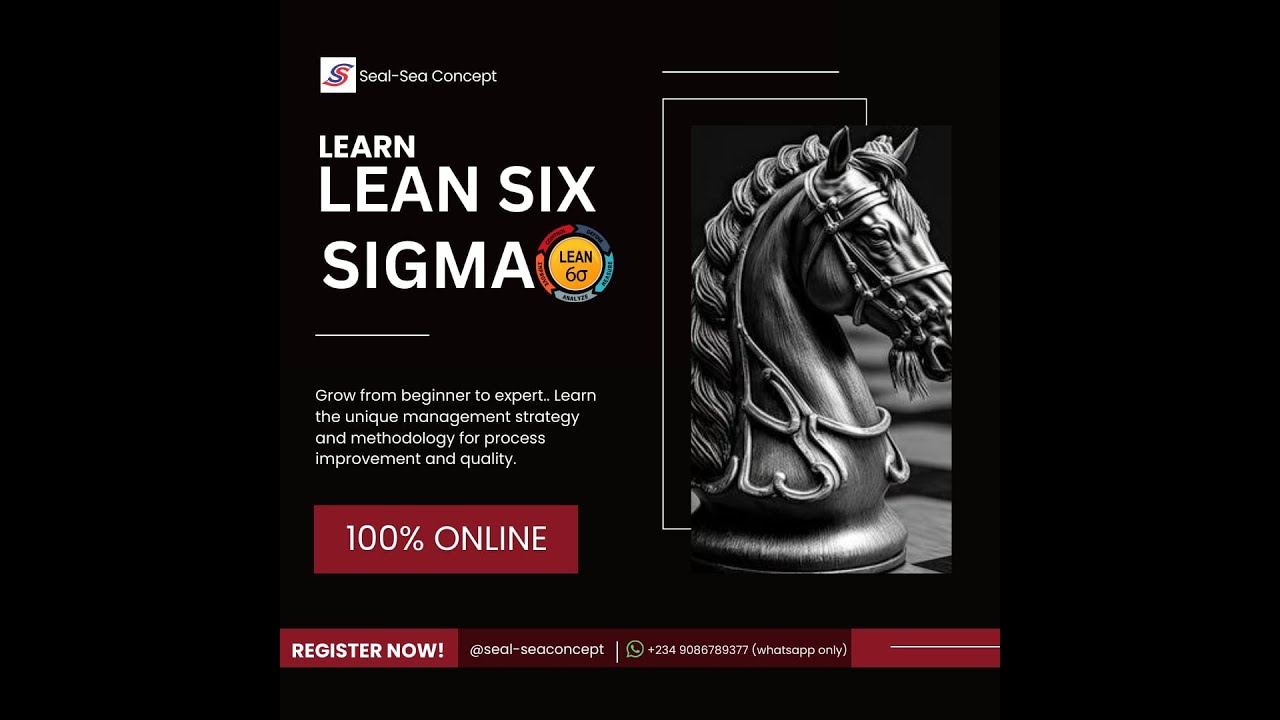 Lean Six Sigma Training - Class 2 (B2)