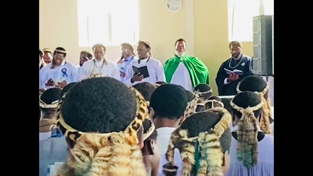 Ngowela ngijabhile by Mshumayeli Ndwandwe eSibonakalisweni @lizwintulwana761