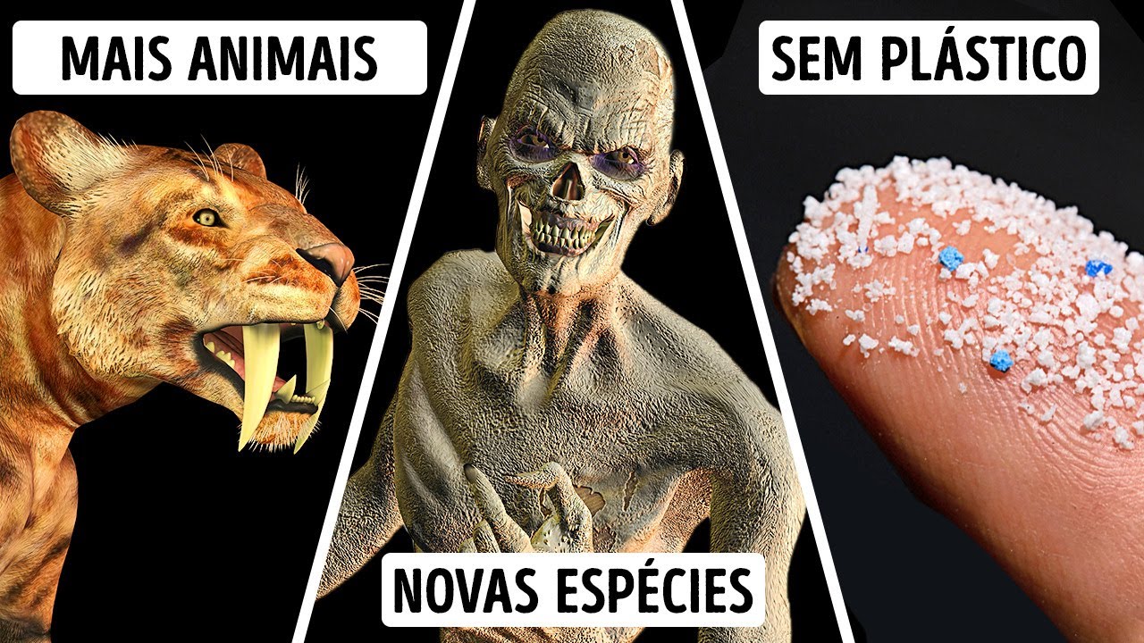 Se os Humanos Não Existissem, qual Criatura Dominaria o Mundo?