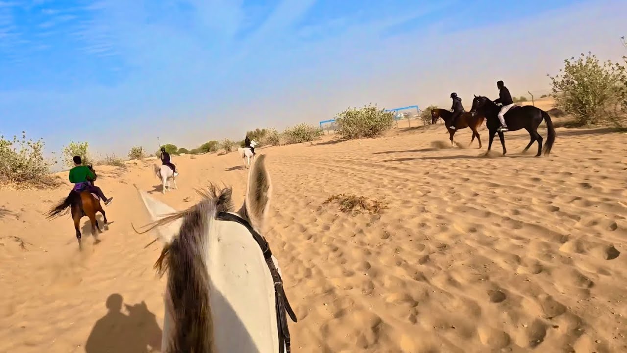 Çölde Dörtnala Atlı Safari-Dubai/BAE