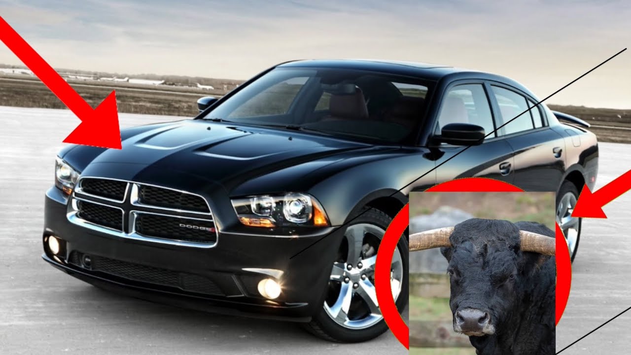 Memes That Only Car Guys Will Understand: Part 65 (64 is down)