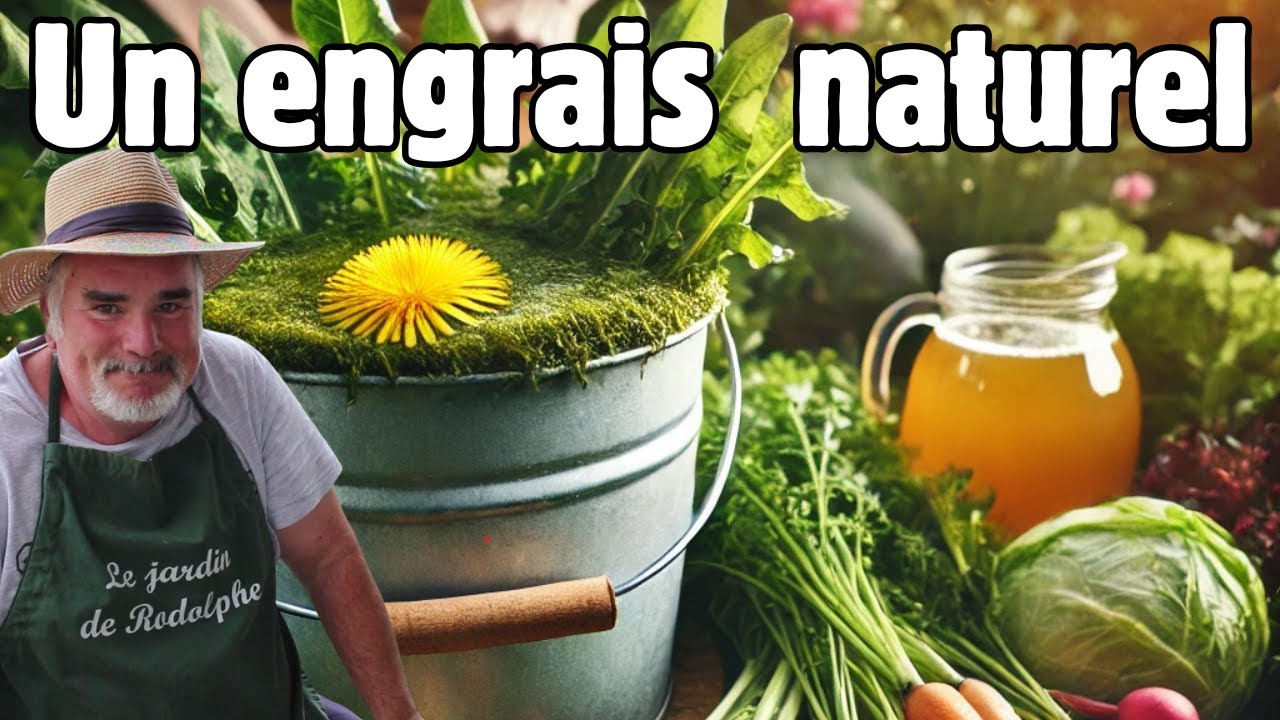 Tu veux des légumes en pleine santé ?
