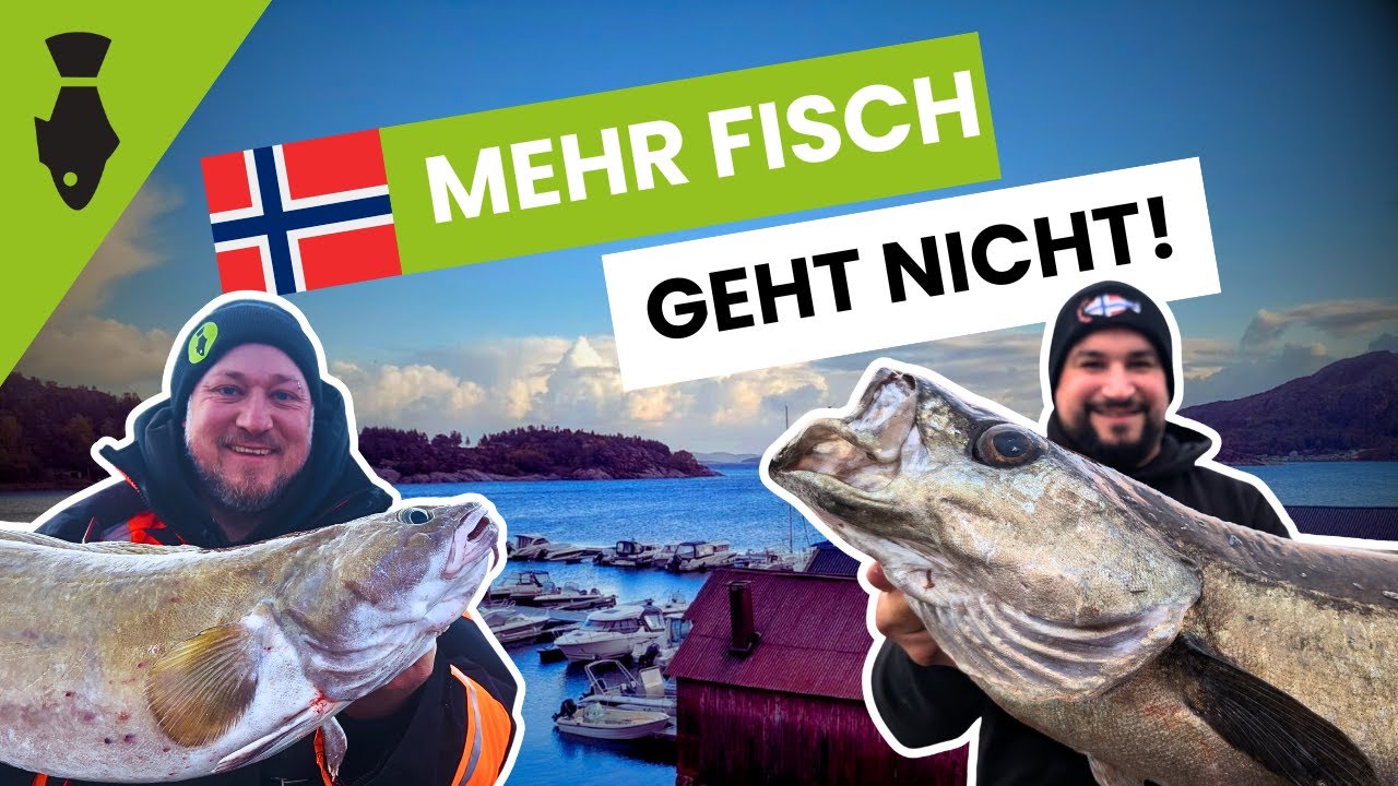 Angeln in Norwegen: Die unglaubliche Artenvielfalt Hitra & der Trondheimsleia