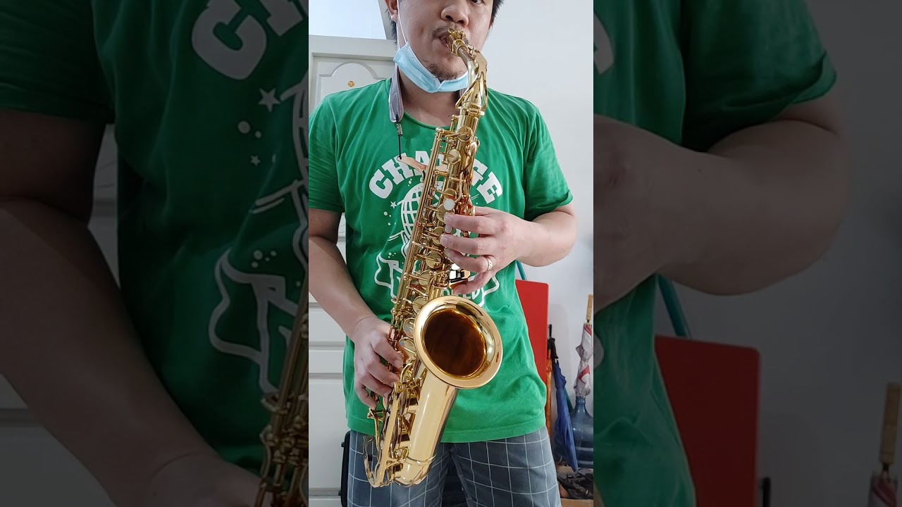 experiment yamaha alto saxophone resonator dome plastic VS maestro star airtight.