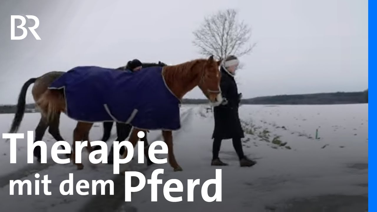 Reittherapie: Loslassen und sich halten lassen | Lernen mit Pferden | Stationen | BR