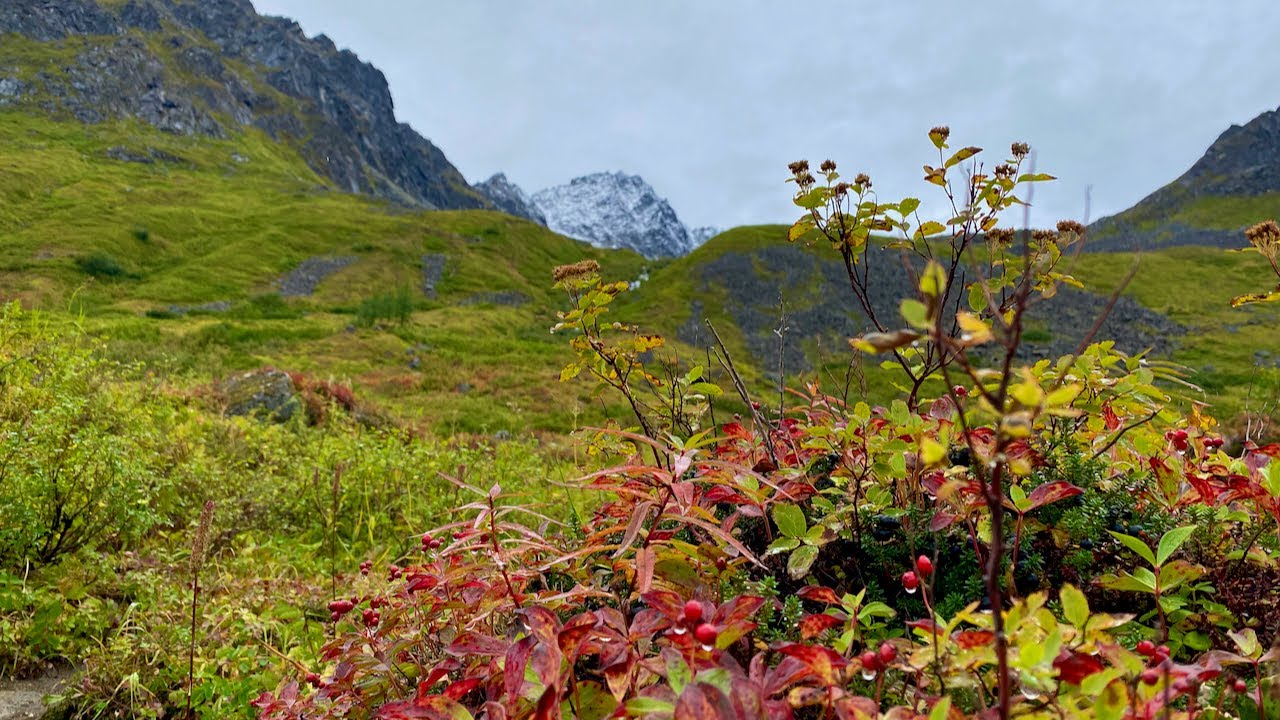 Hiking Alaska: Reed Lakes Trail
