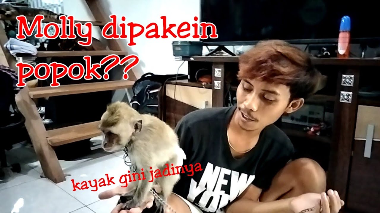 Inilah reaksi molly saat dipakein popok