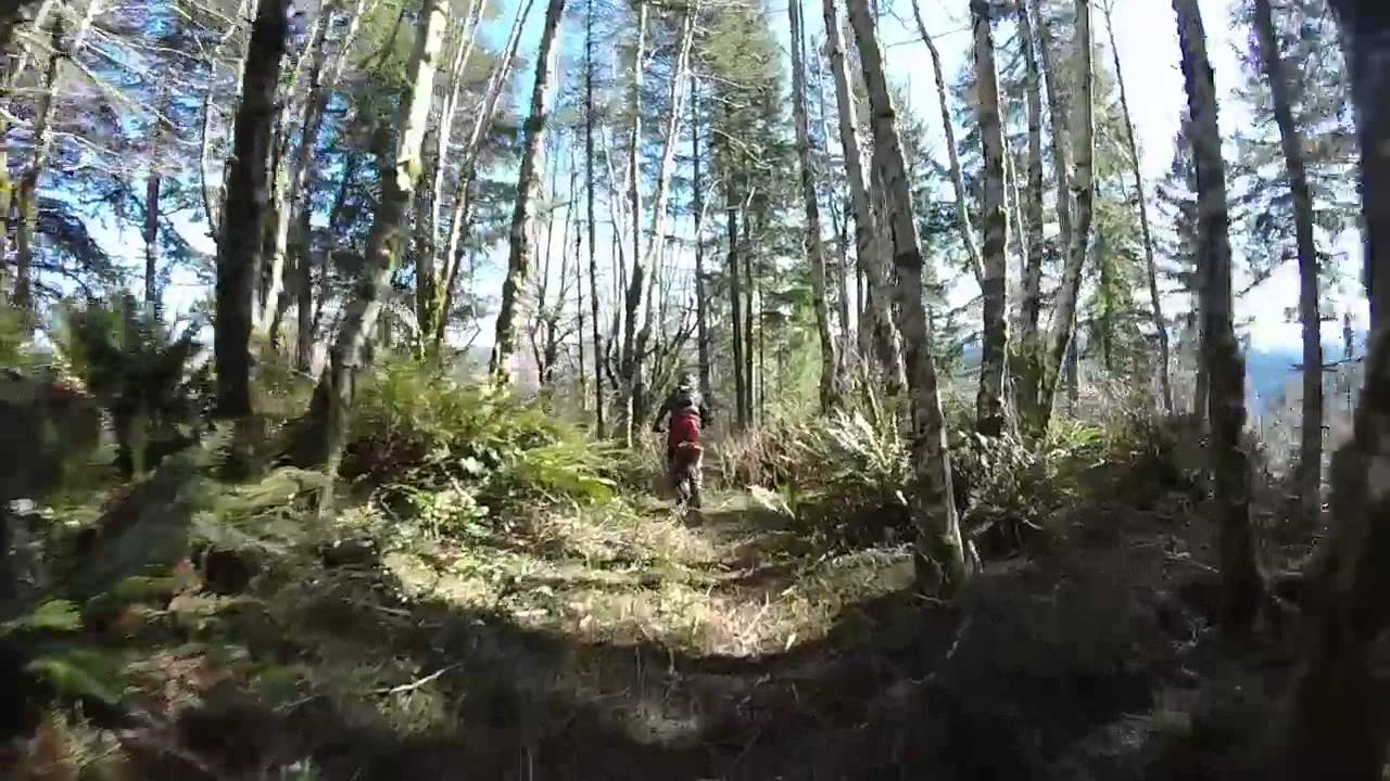 Southern Oregon Coast Range