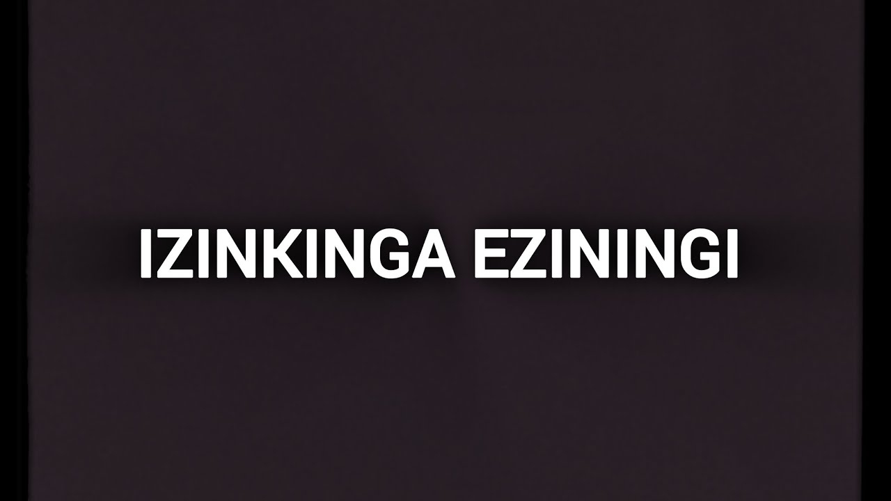 Mizzy SA _ IZINKINGA EZININGI