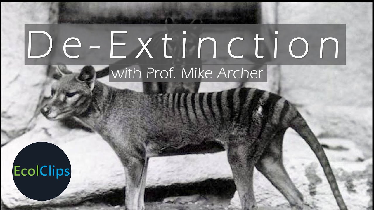 De-Extinction: The Comeback of the Tasmanian Tiger? With Prof. Mike Archer | EcolClips