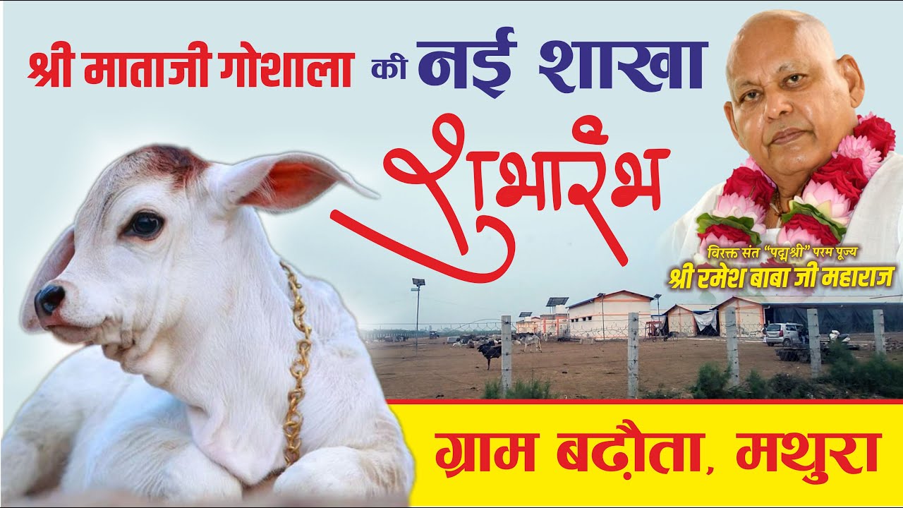 श्री माताजी गौशाला की नई शाखा का शुभारंभ #barsana #cowcare #matajigaushala #shrirameshbaba