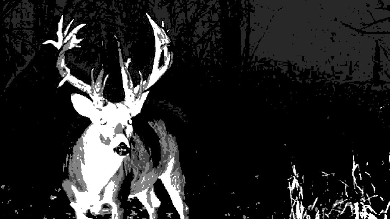 White Feather Hawk Tail Deer Hunter (Dire Remix) - Lana Del Rey
