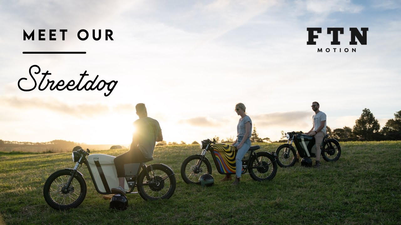 Find your Freedom with the Streetdog