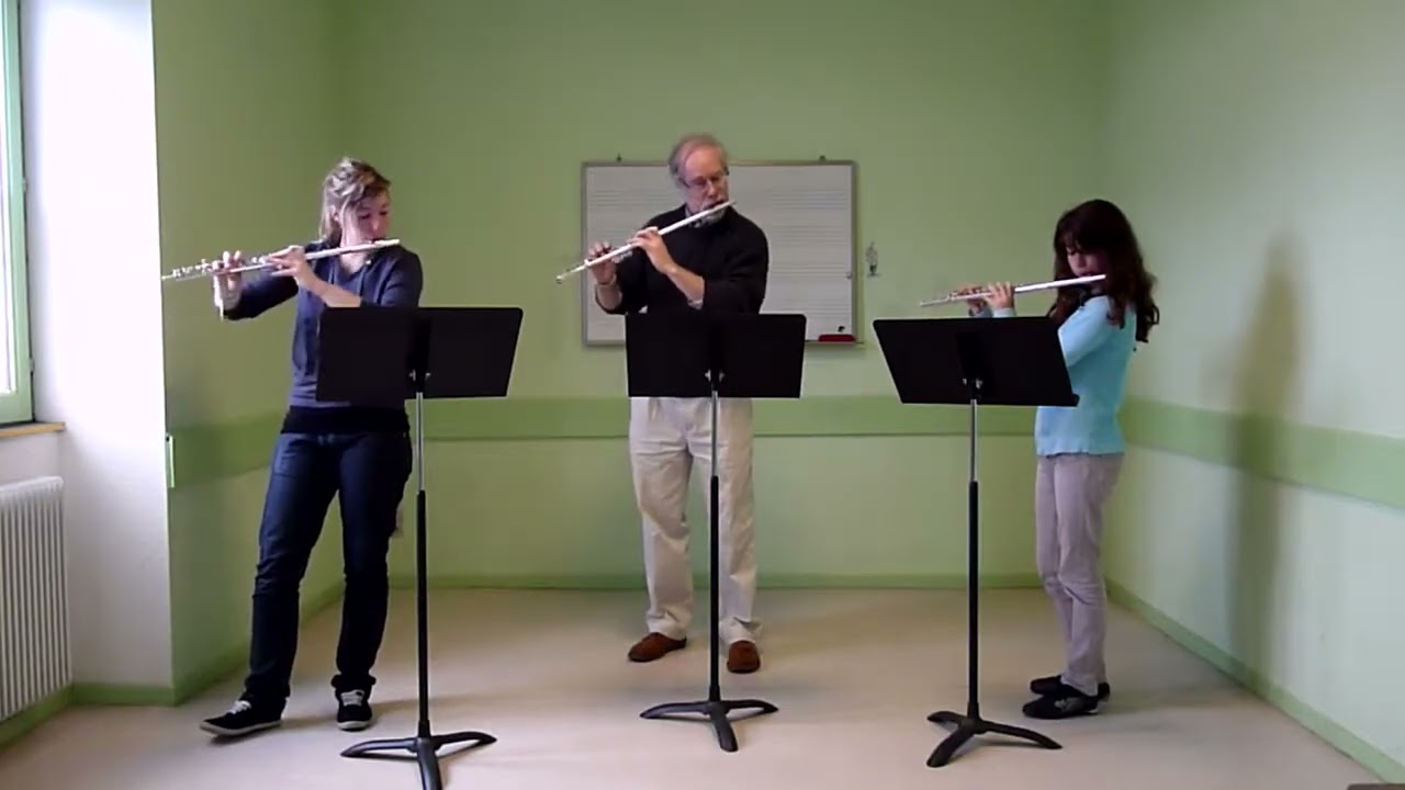 Mozart: 'Rondo alla Turca'   (flute trio).