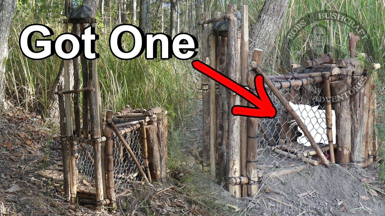 Making The Best Bushcraft Live Capture Cage Trap