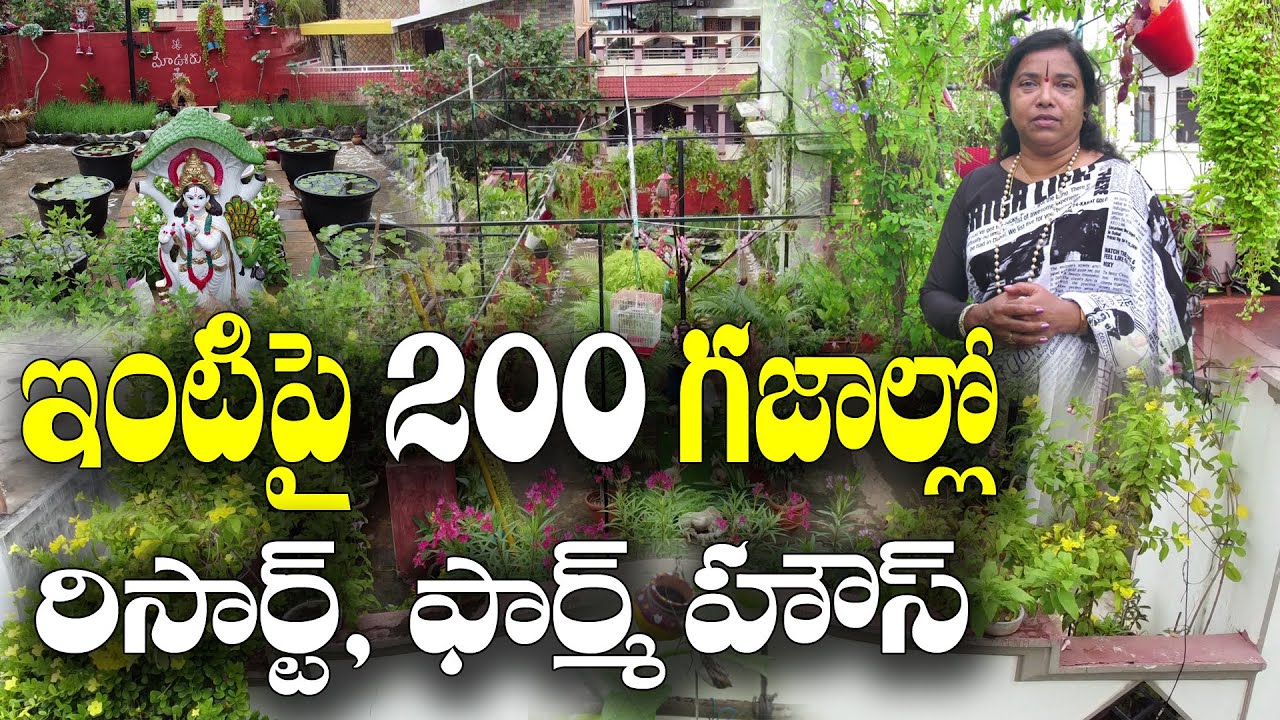 డాబానే ప్రకృతి రిసార్ట్, పంటల ఫామ్ హౌస్ || Resort on Roof || Shobha Kothapalli